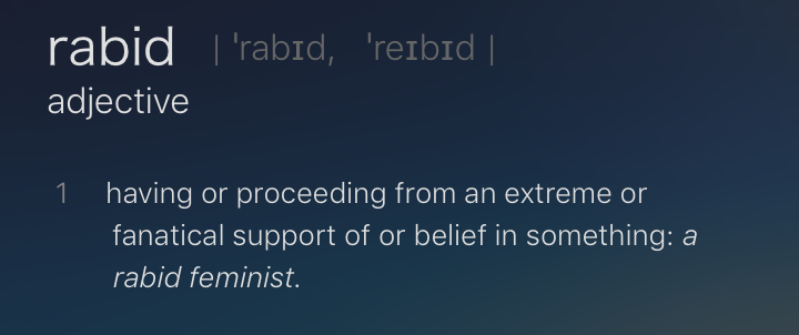 Feminist-vil-have-eksemplet-»rabiat feminist«-ud-af-ordbog3